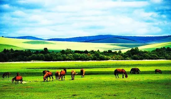 走进内蒙古，深度体验与心得分享