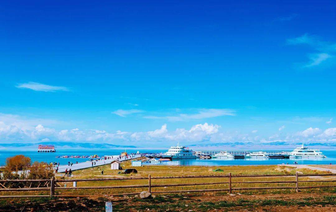 高原瑰宝,青海生态与文化深度解读