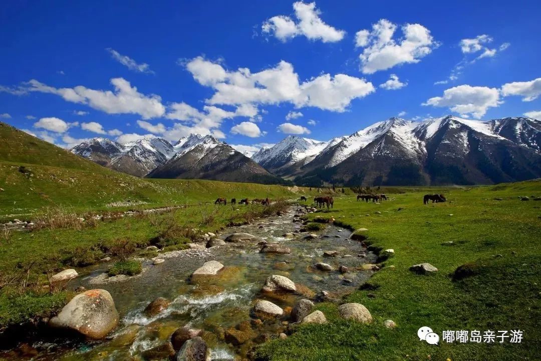 丝路明珠新疆,多元文化交融中的绿色发展之旅