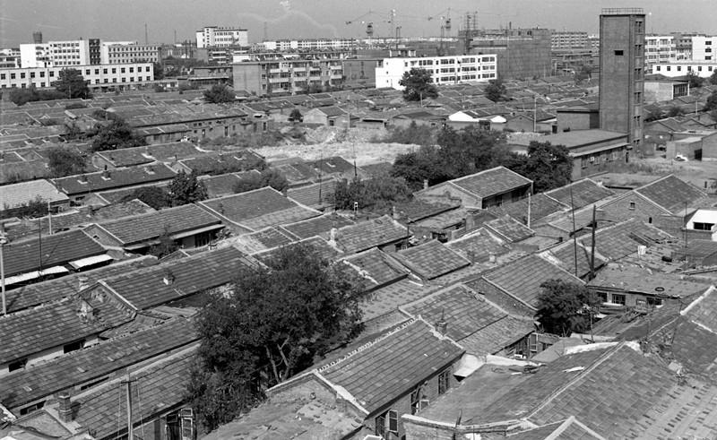 沧州之旅，深度体验与感悟