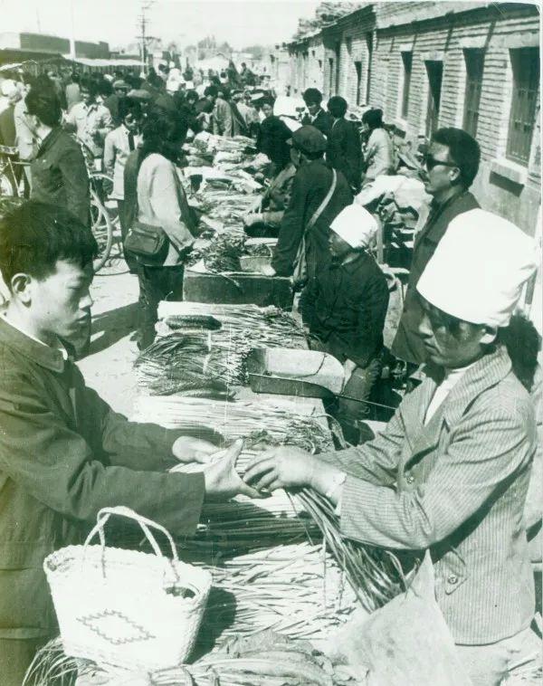 乌海,致尊敬的观众朋友们的一封信